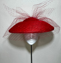 Door with vintage veil