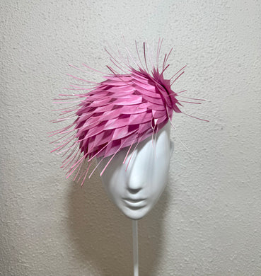 Orchid pink urchin