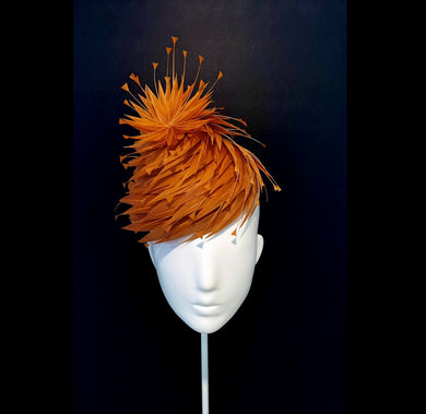 The Burberry feather