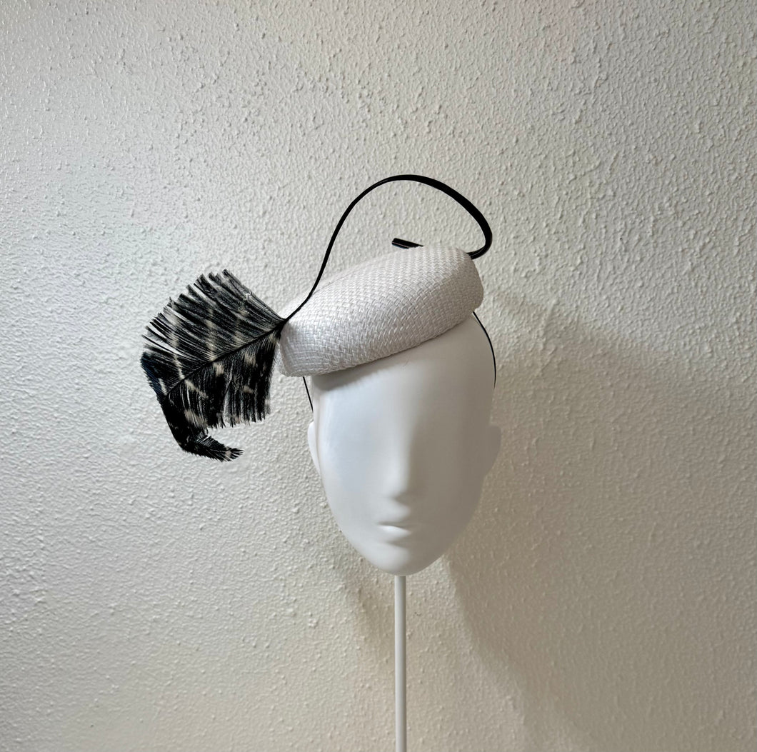 White button with sculptured black and white ostrich feather