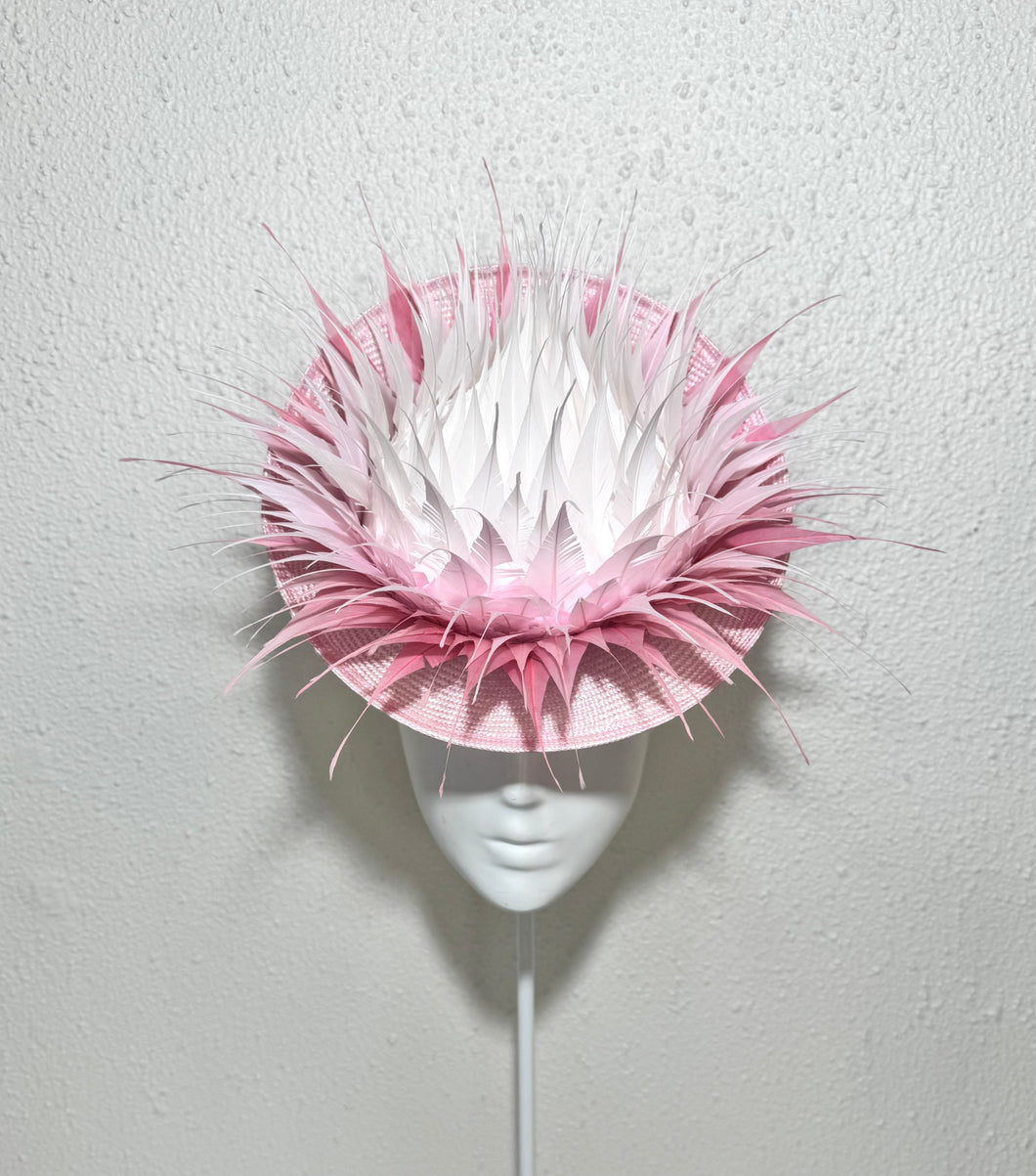 Feathered protea